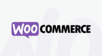 Why WooCommerce Platform Is Best for Building a Well-refined eCommerce Store?