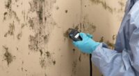 Innovations in Mold Testing Technology: What’s New in 2024?